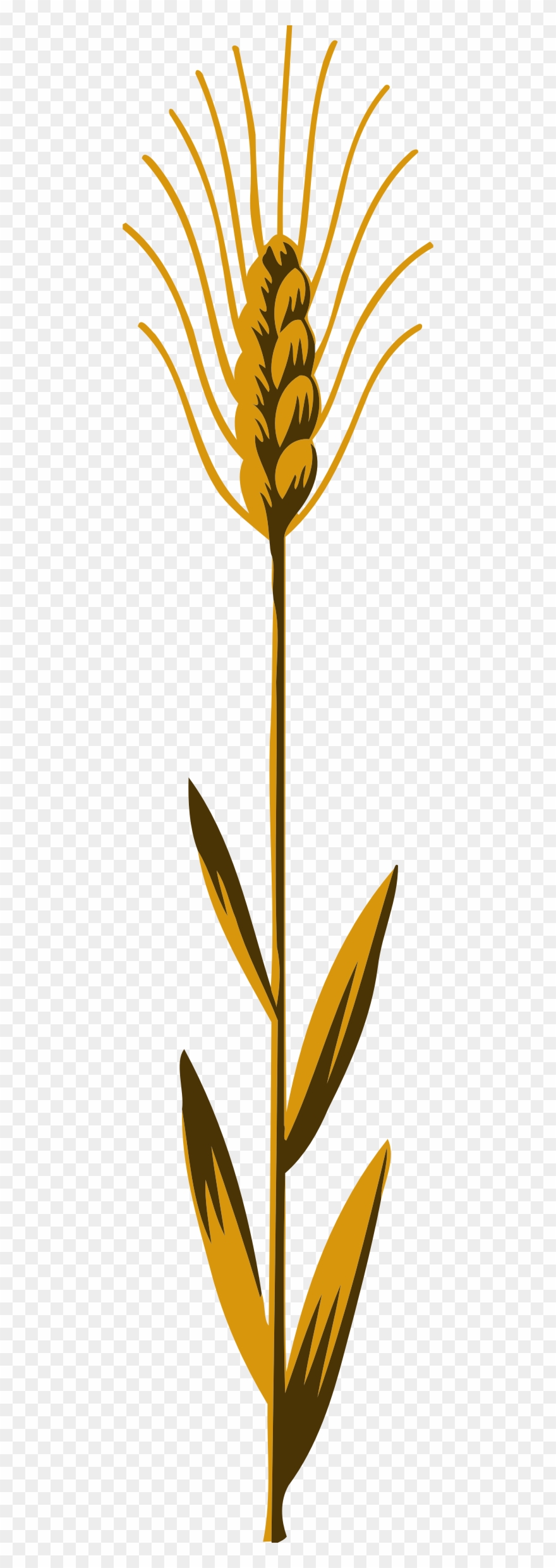 Big Image - Wheat Clipart