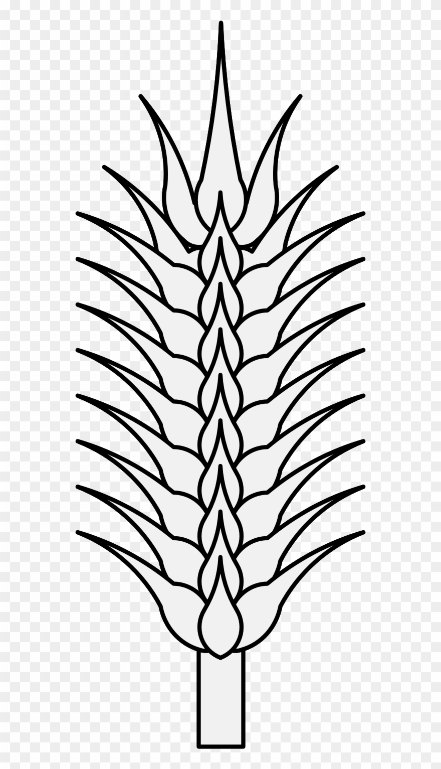 Pdf - Sketch Clipart