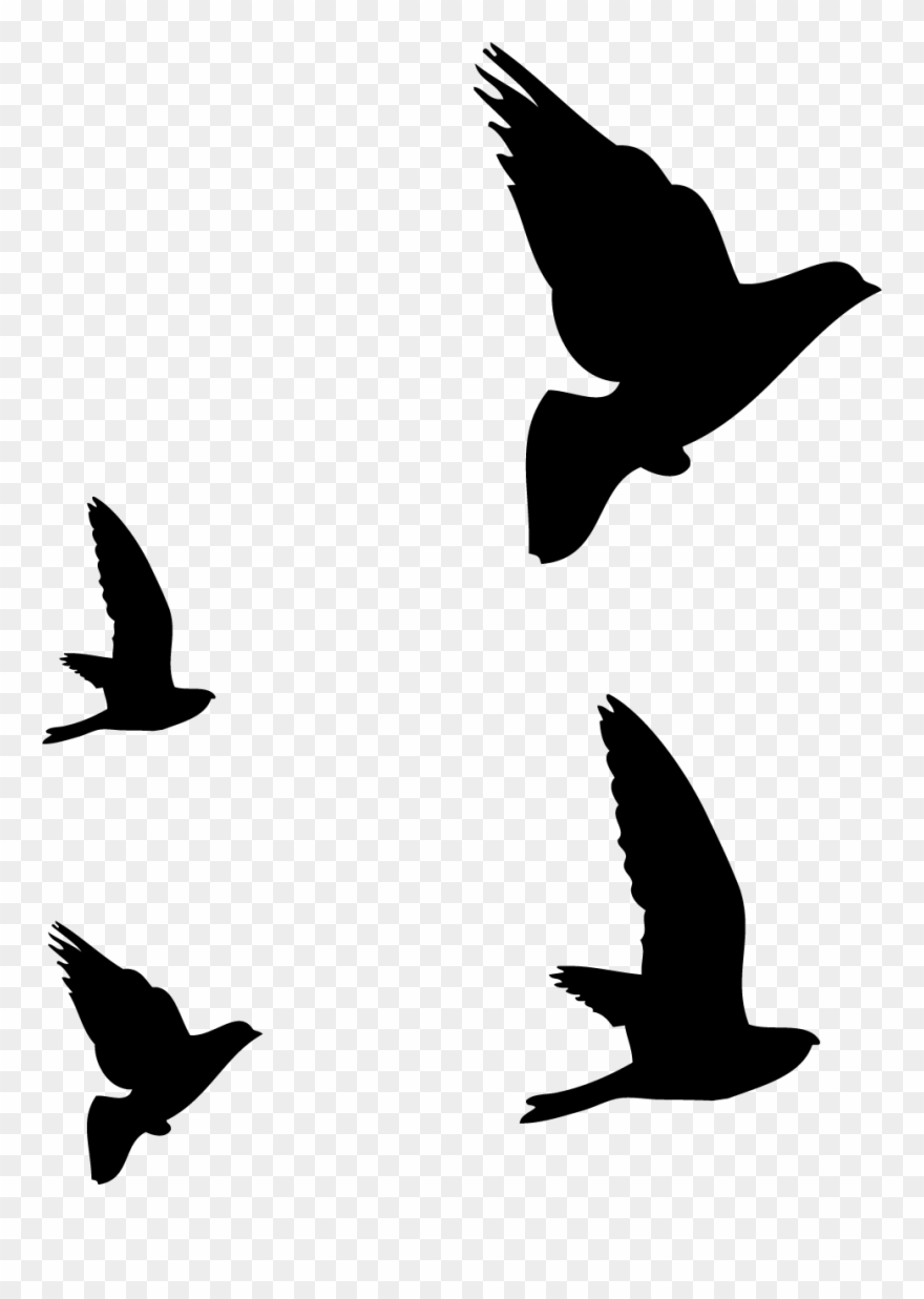 Clip Art Royalty Free Library Birds Svg Wire Tattoo - Dibujos De Pajaros Volando - Png Download