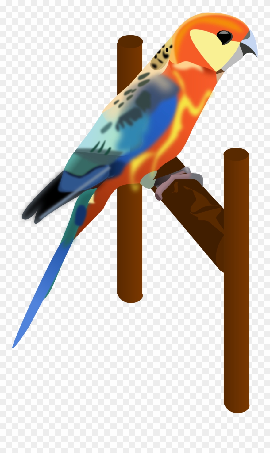 Parrot - Burung Beo Vector Clipart