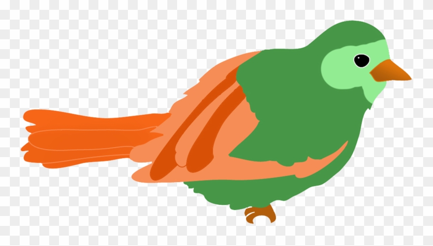 Green Colored Bird Drawing - Bird Clip Art Colored - Png Download