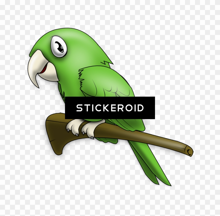 Cute Parrot Pic - Clip Art - Png Download