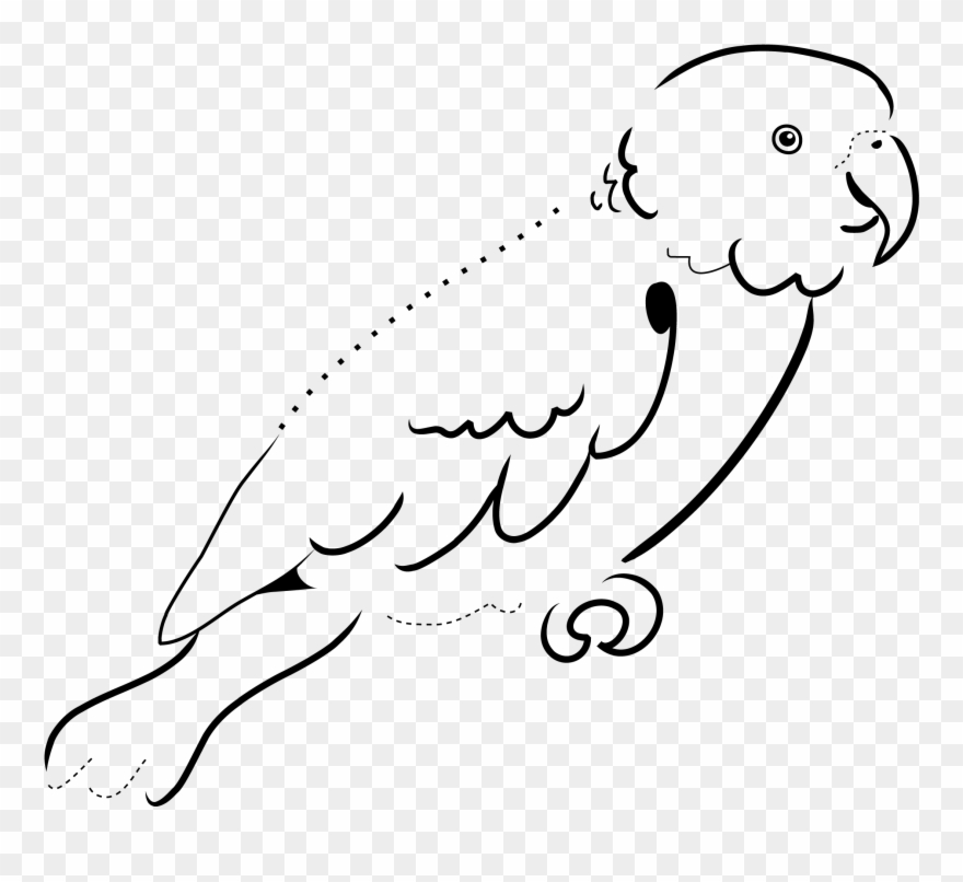 Cool Black And White Panda Free - Parrot Black And White Illustration Clipart
