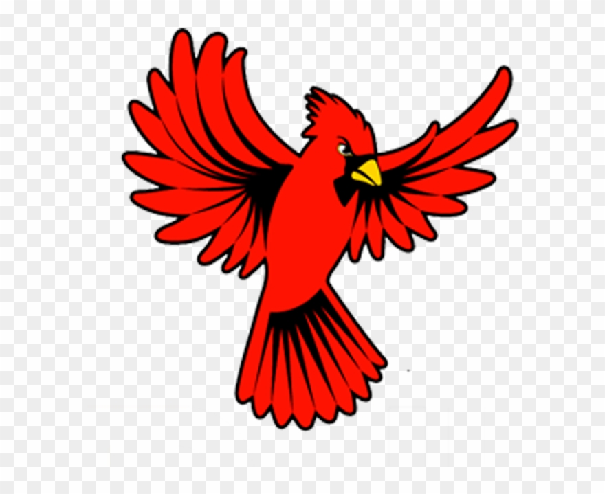 Cardinal - Cardinal Wings Open Clipart - Png Download