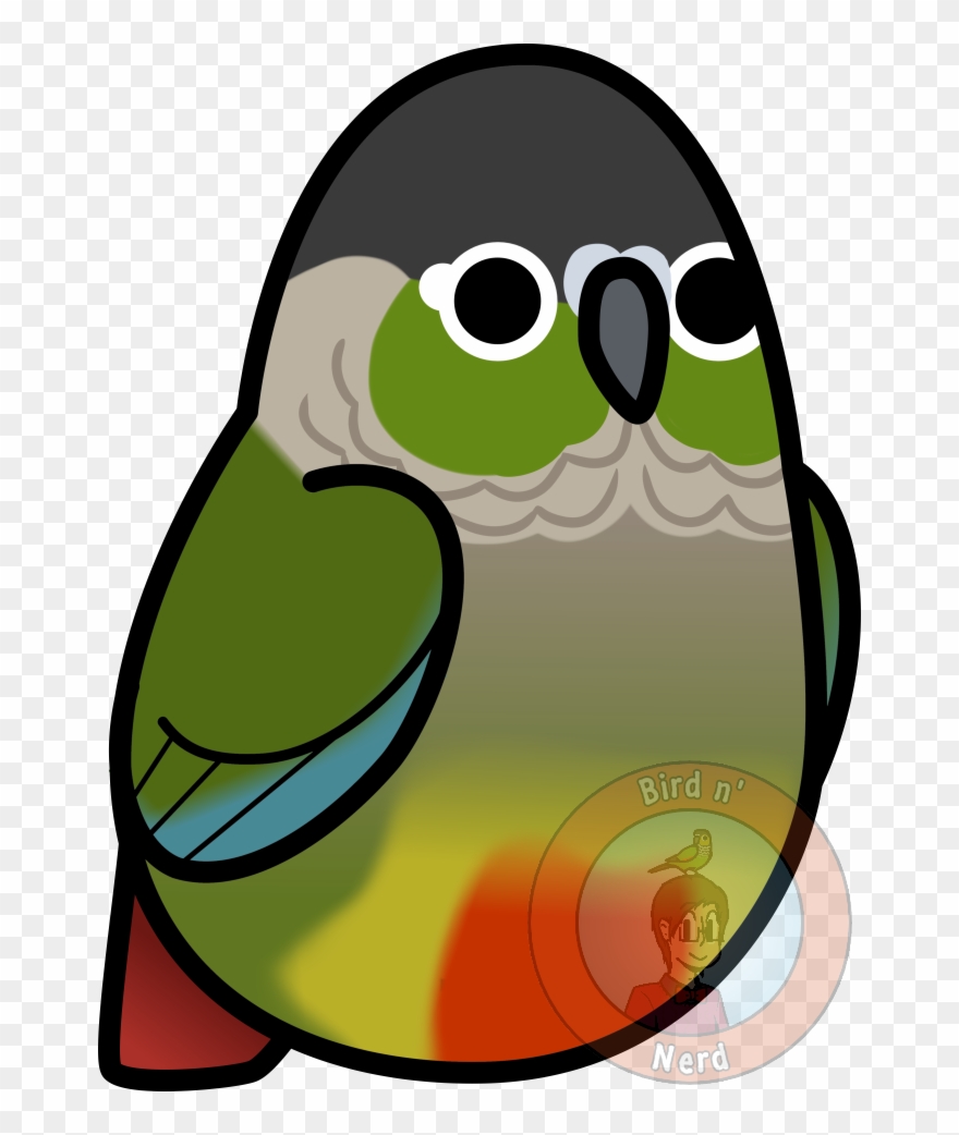 Too Many Birds Cheeked By Maddemichael On - Green Cheek Conure Clip Art - Png Download