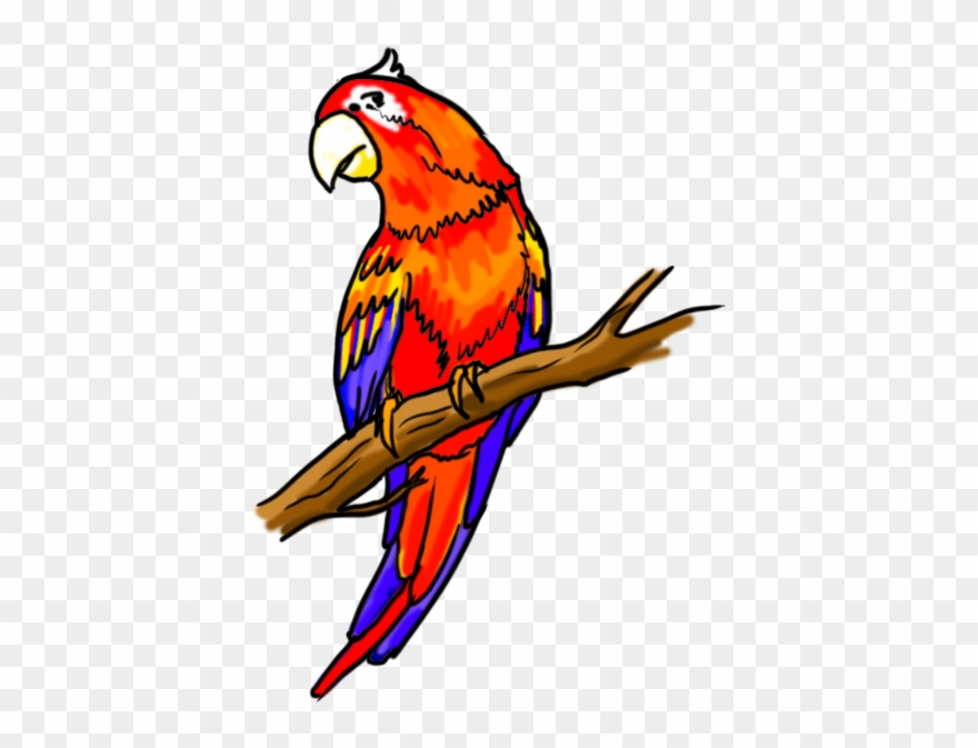 Flying Drawing Panda Free Images Flyingparrotdrawing - Drawing Parrot Transparent Clipart