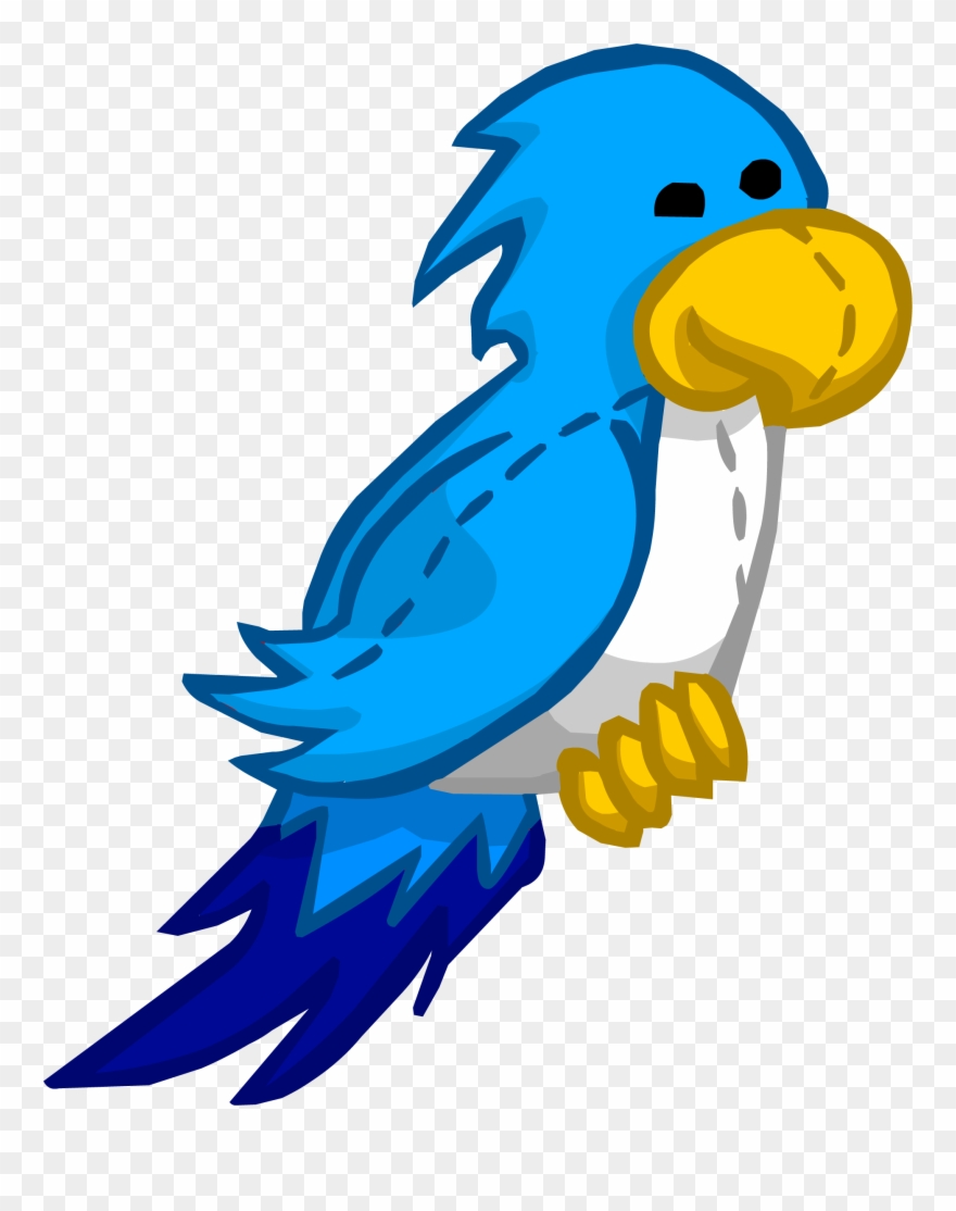 Parrot Clipart Blue Parrot - Captain Rockhopper Club Penguin - Png Download