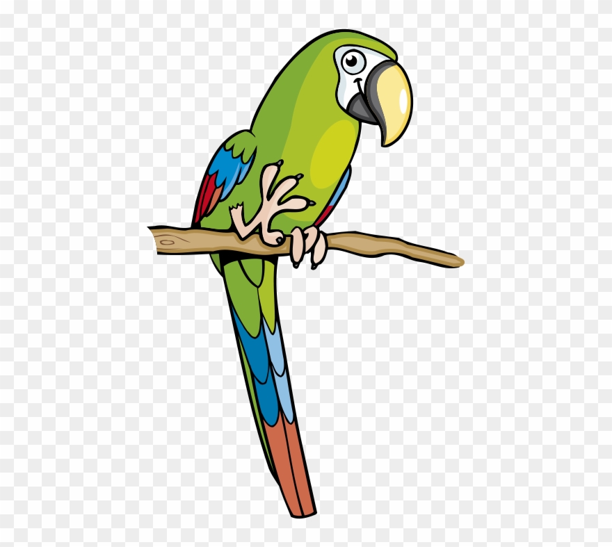 Parrot Clipart Amazon Parrot - El Loro Verde Dibujo - Png Download