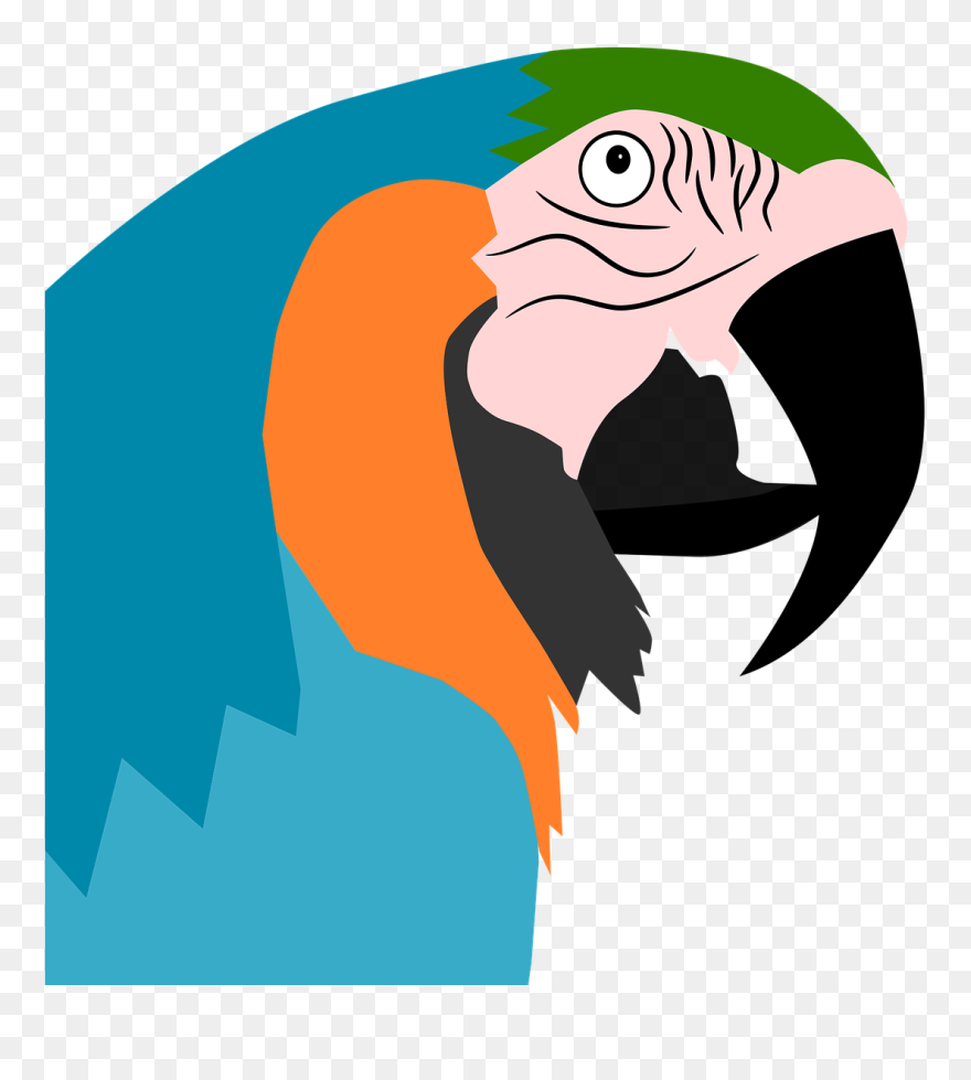 Parrot Clipart Wild Bird - Bird - Png Download