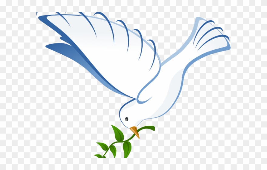 White Dove Clipart In Flight - White Dove - Png Download