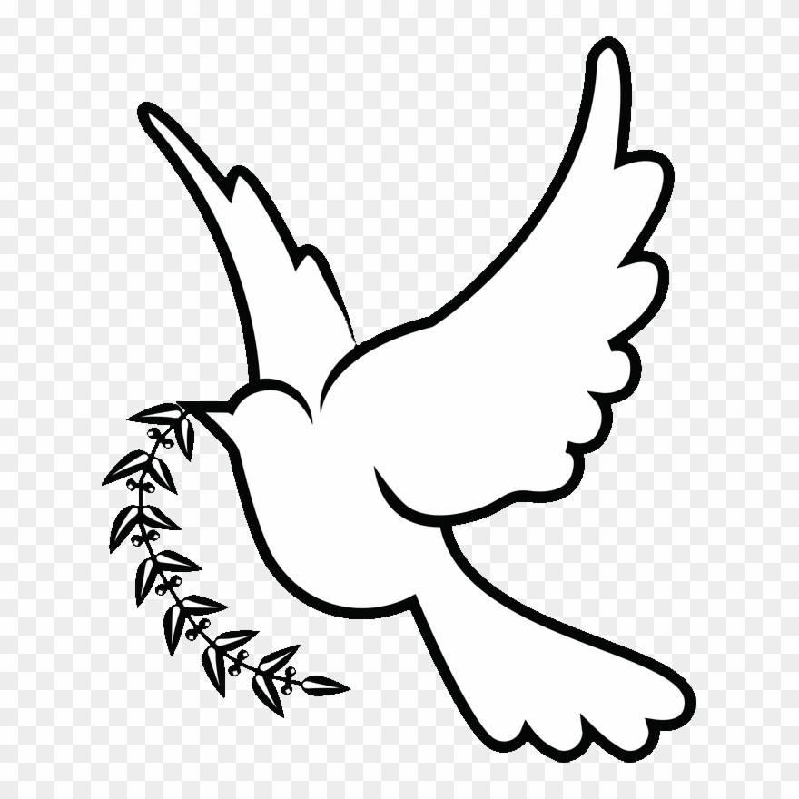 Doves Drawing Png - White Dove Drawing Png Clipart