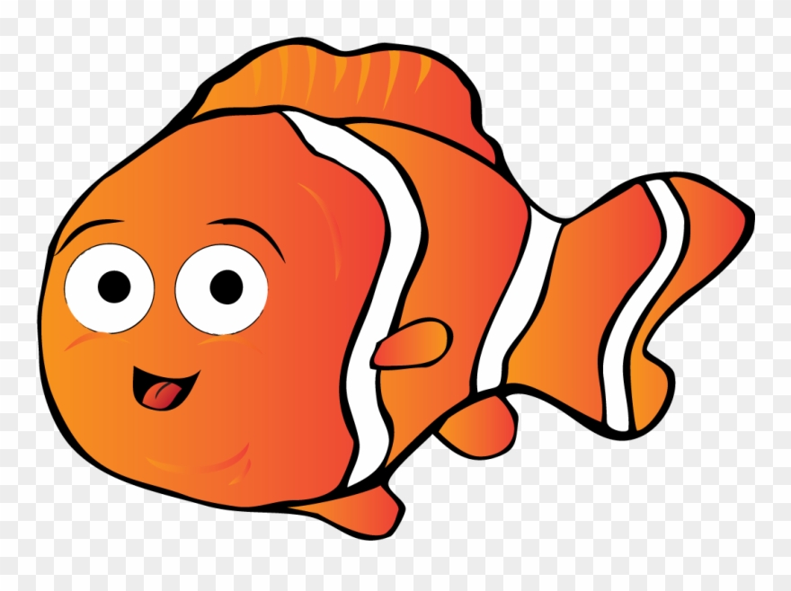 This Is Our Advanced Beginner Class - Clownfish With Transparent Background Clipart