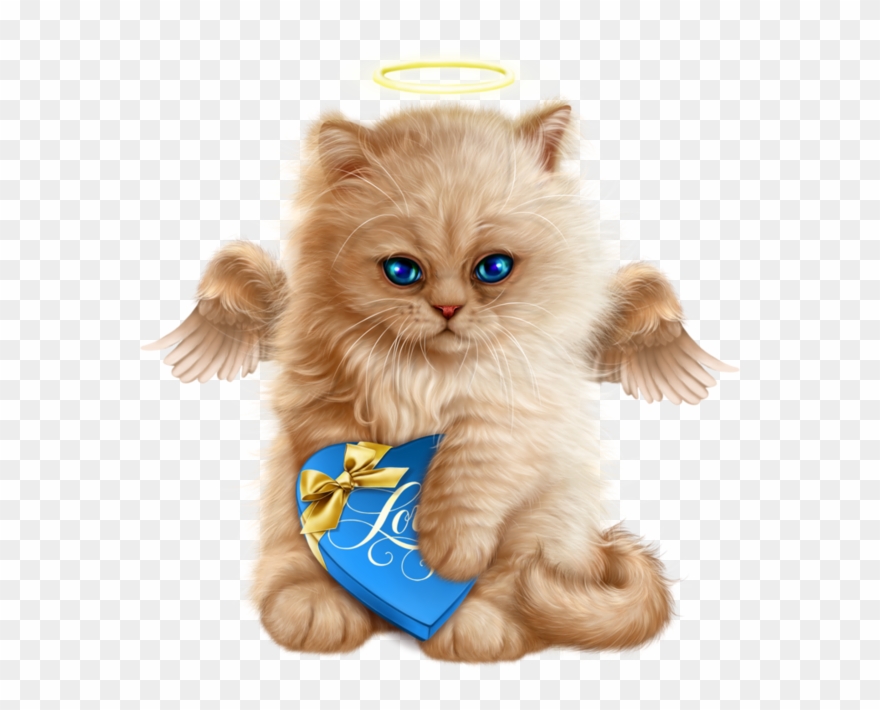 Chat - Cat Clipart