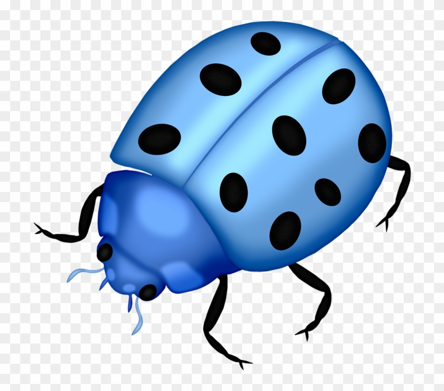 Craft - Blue Ladybird Clipart