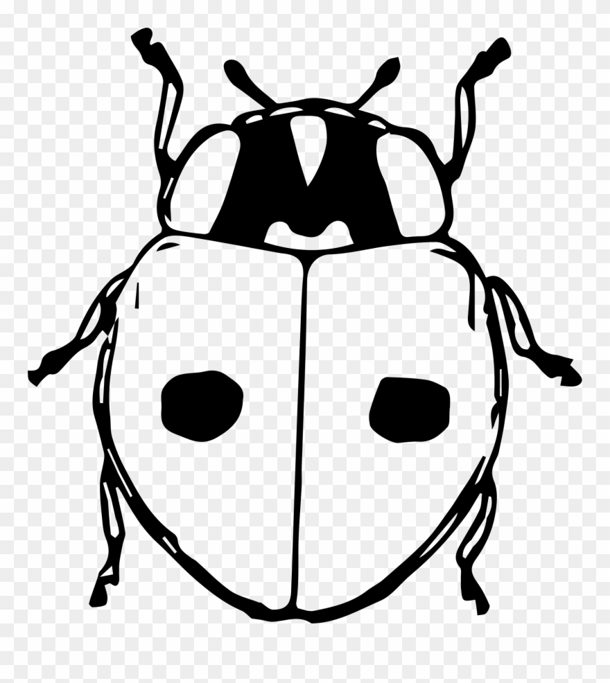 Ladybird Beetle Black And White Drawing Seven-spot - Cartoon Gambar Kumbang Clipart