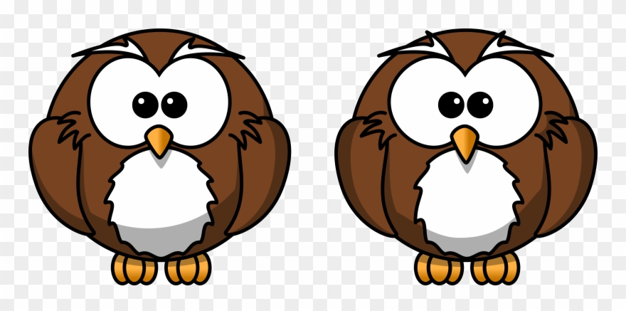 Big Image - Cartoon Owl Shower Curtain Clipart