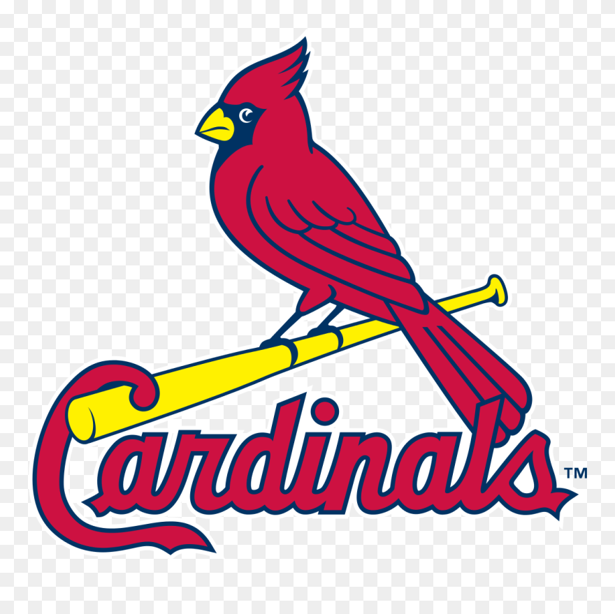 Louis Cardinals Logo Vector - Stl Cardinals Clipart