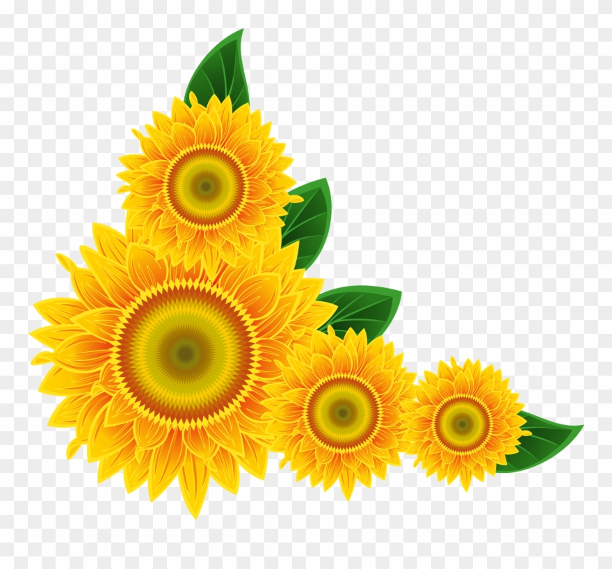 Sunflower Clip Art Images Xbox - Sunflower Corner Border Png Transparent Png
