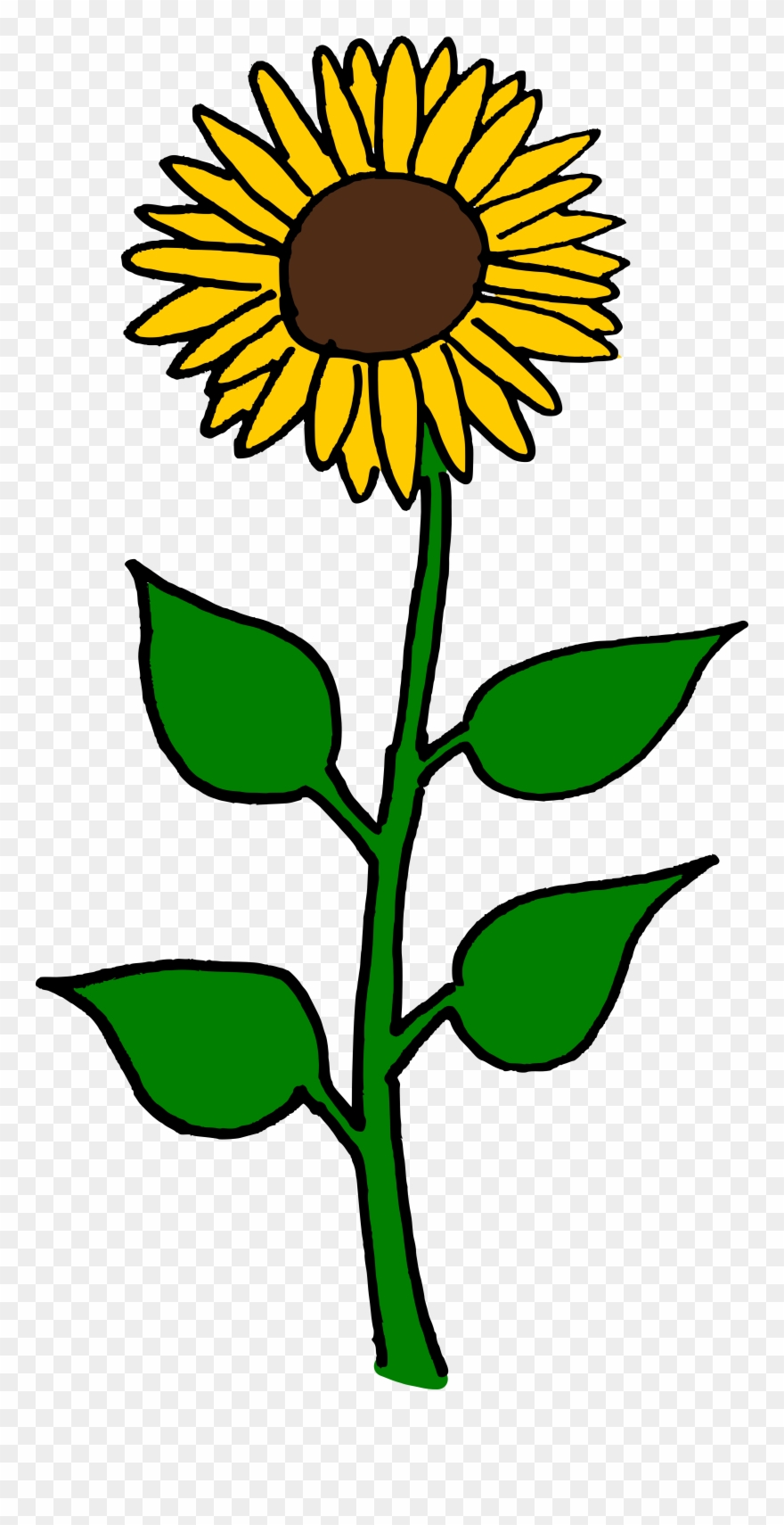 Flower Clipart Sunflower - Sun Flowers Clip Art - Png Download