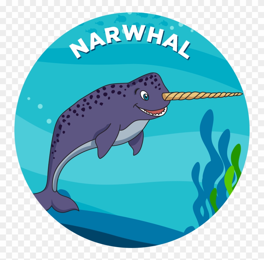 Narwhal Clipart Blue - Pokémon Mystery Dungeon: Blue Rescue Team And Red Rescue - Png Download