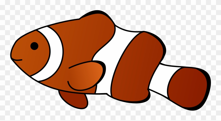 Anemonenfisch Clipart Black And White Download - Gambar Ikan Nemo Kartun - Png Download