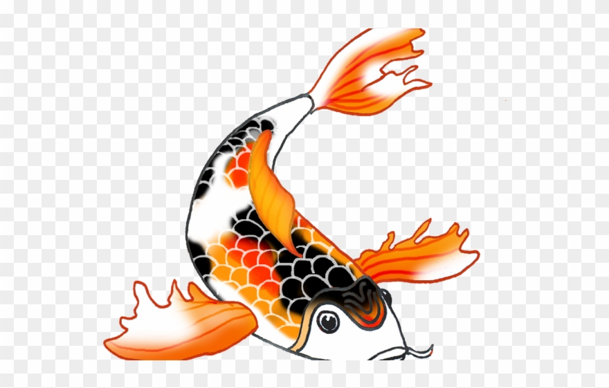 Koi Fish Clipart Draw In Color - Clip Art Koi Fish - Png Download