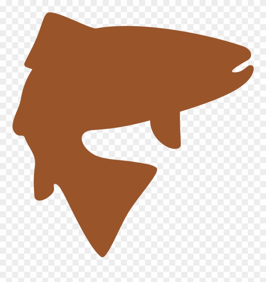 Fly Fishing Trips We Offer - Fly Fishing North Georgia Clipart