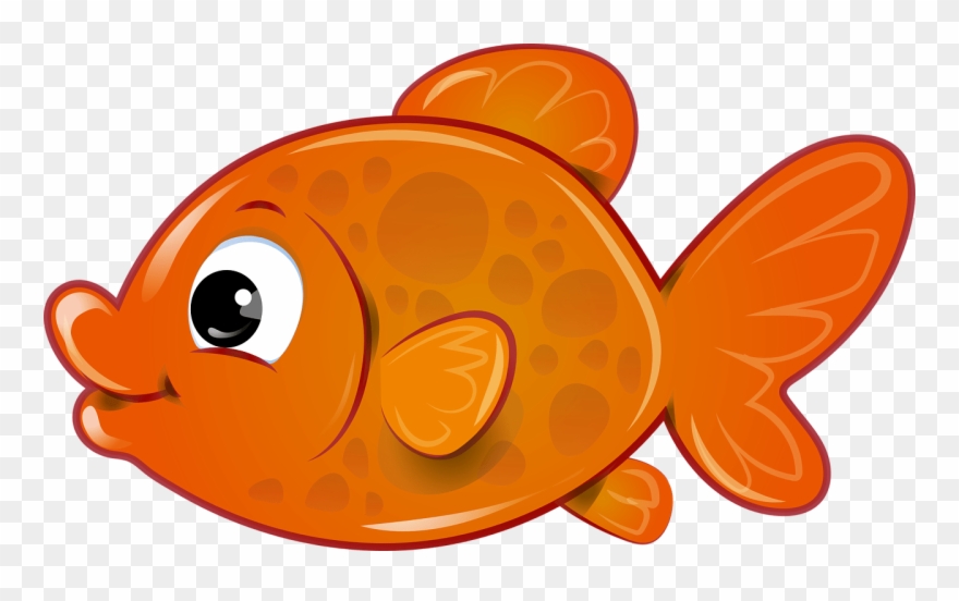 Vector Transparent Library Betta Drawing Kawaii - Clipart Gold Fish - Png Download