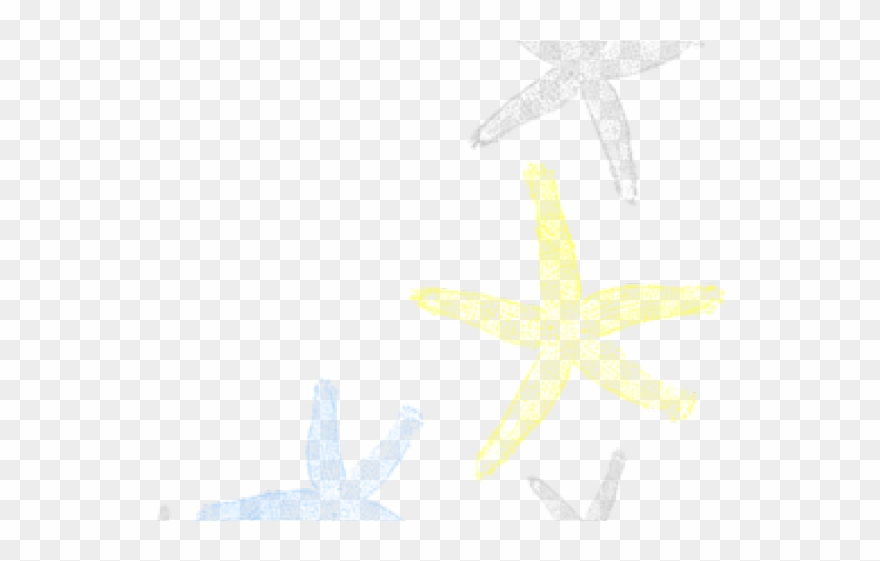 Starfish Corner Border Png Clipart