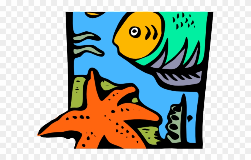 Starfish Clipart Vector - Sea Life Clip Art - Png Download