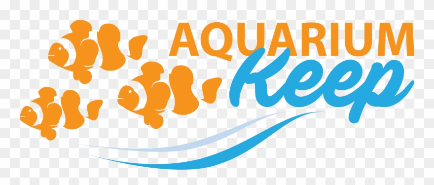 "setup Your Fish Tank Or Aquarium Today" Clipart