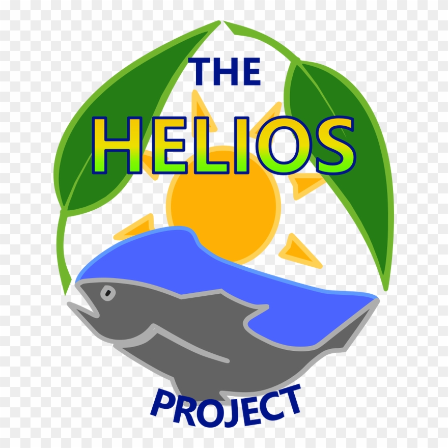 Graphic Transparent Library School Profile The Helios - Helios Project Clipart