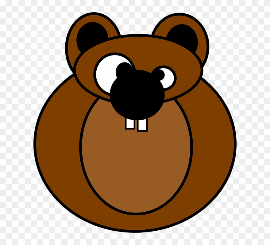 Clipart Info - Cartoon Red Squirrel - Png Download