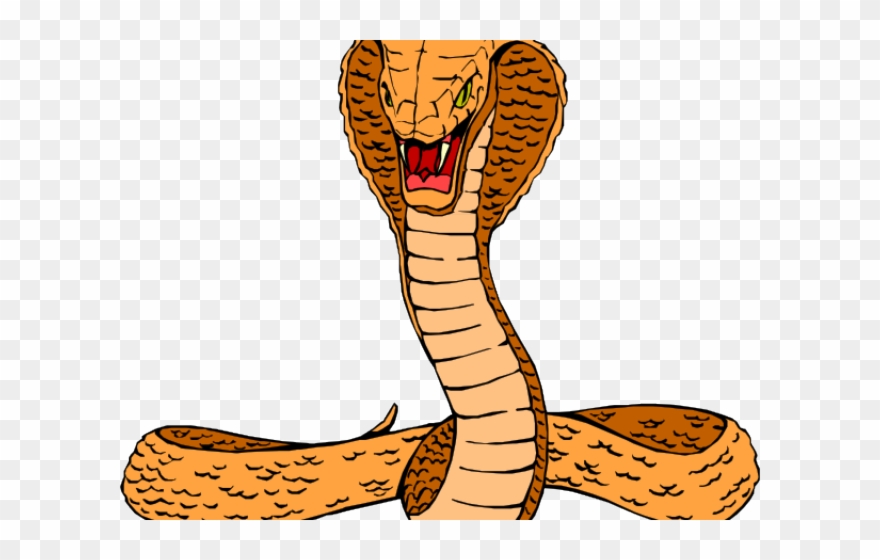 Realistic Snake Clip Art - Png Download