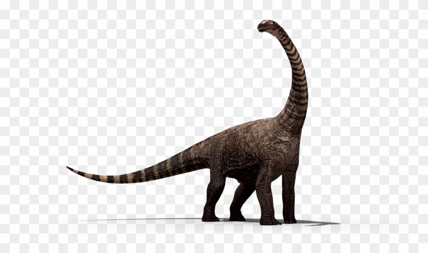 Dinosaur Png Images - Dinossauro Png Png Clipart