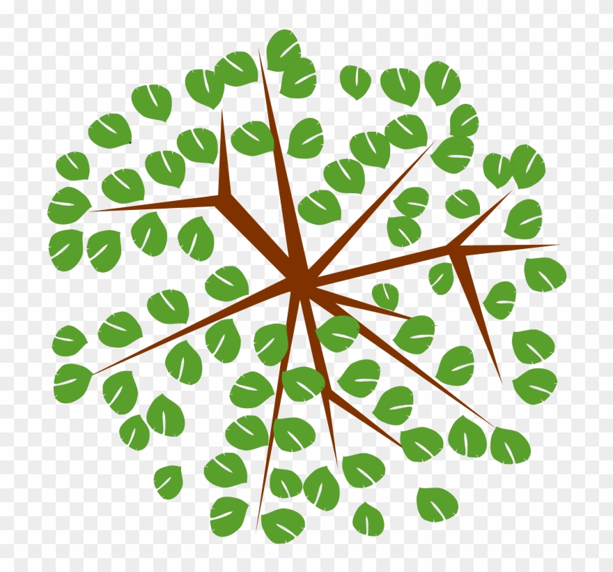 Tree-12c - Tree Clipart From Top - Png Download
