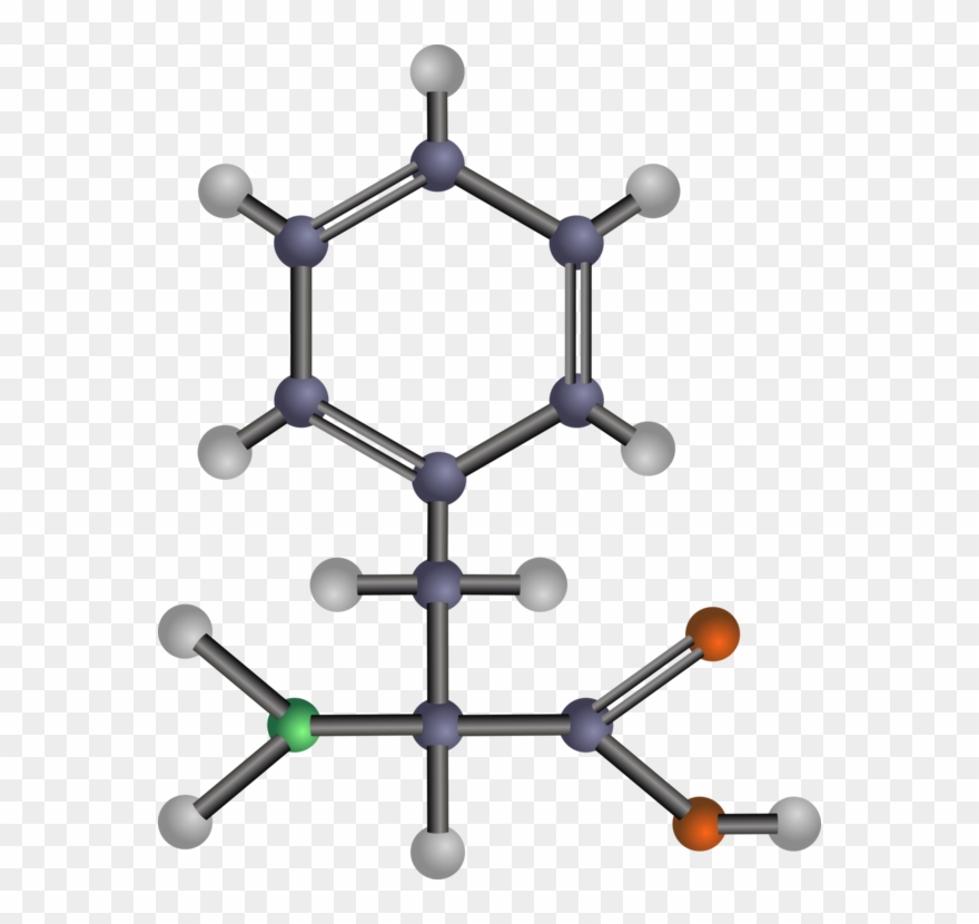 Branched-chain Amino Acid Leucine Threonine - Amino Acids: Biochemistry And Applications Clipart