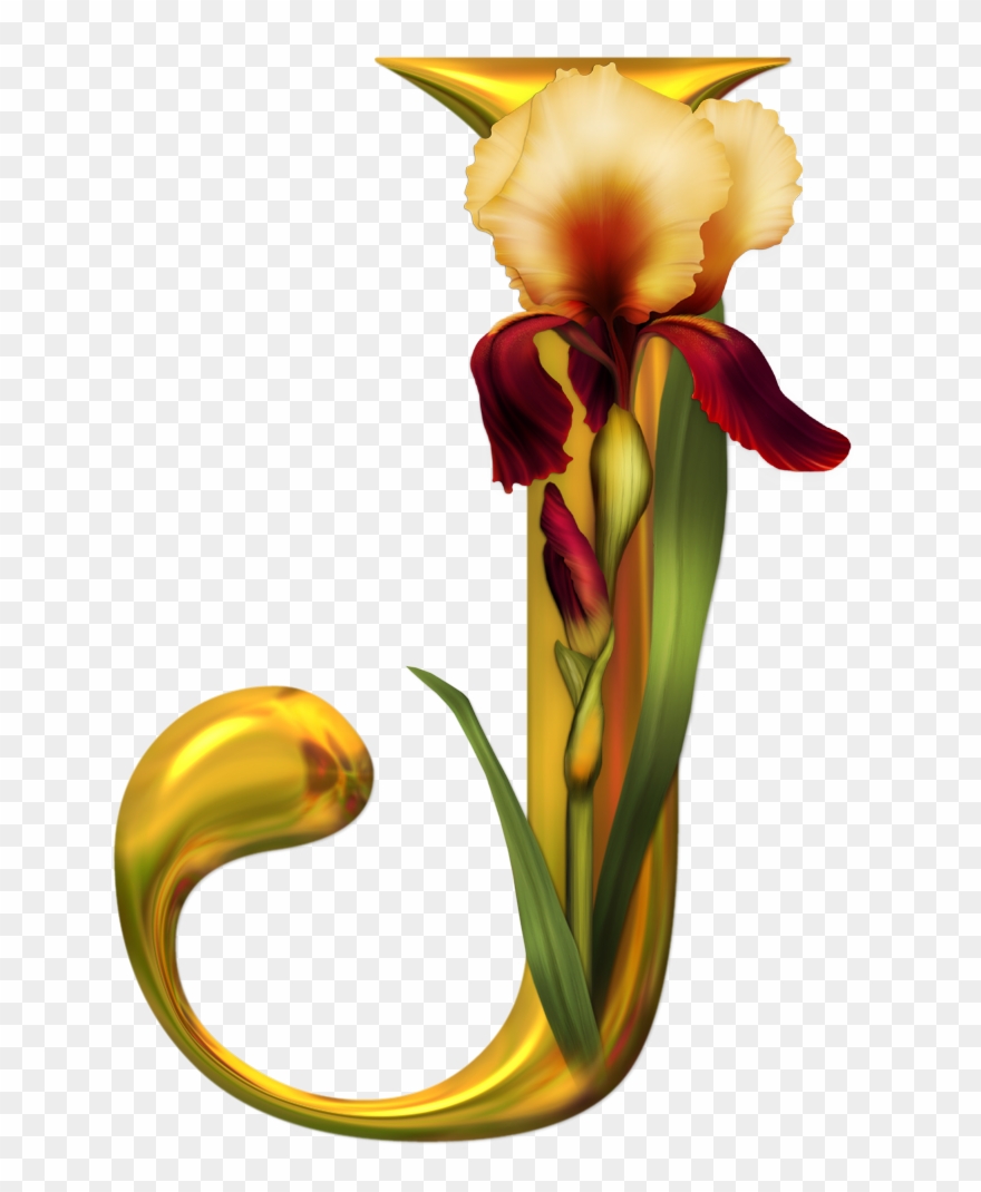 Initials - J Images With Flower Clipart
