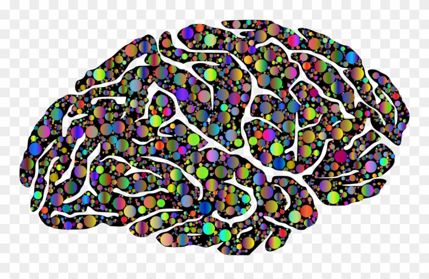University Of Rochester School Of Medicine And Dentistry - Words Inside A Brain Clipart
