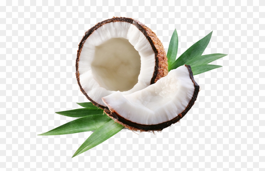 Clip Art Royalty Free Why We Break Coconuts - Coconut Oil: Teach Me Everything I Need - Png Download