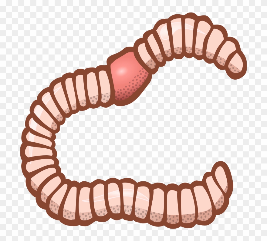 Earthworm Computer Icons Encapsulated Postscript Download - Worm Clipart - Png Download