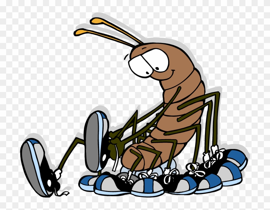 Centipede - - Cartoon Centipede Wearing Shoes Clipart