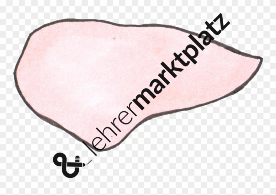 ‹ › - School Clipart