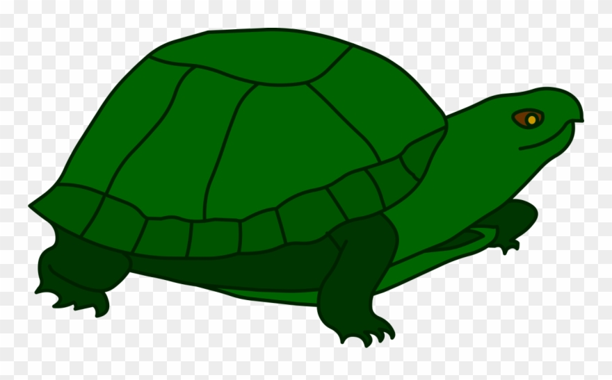 Turtle New Hands - Tortoise Clipart