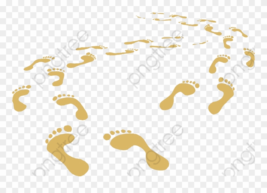 Feet Clipart - 0 - 0 - Foot Prints, Right Foot Prints, - Foot - Png Download