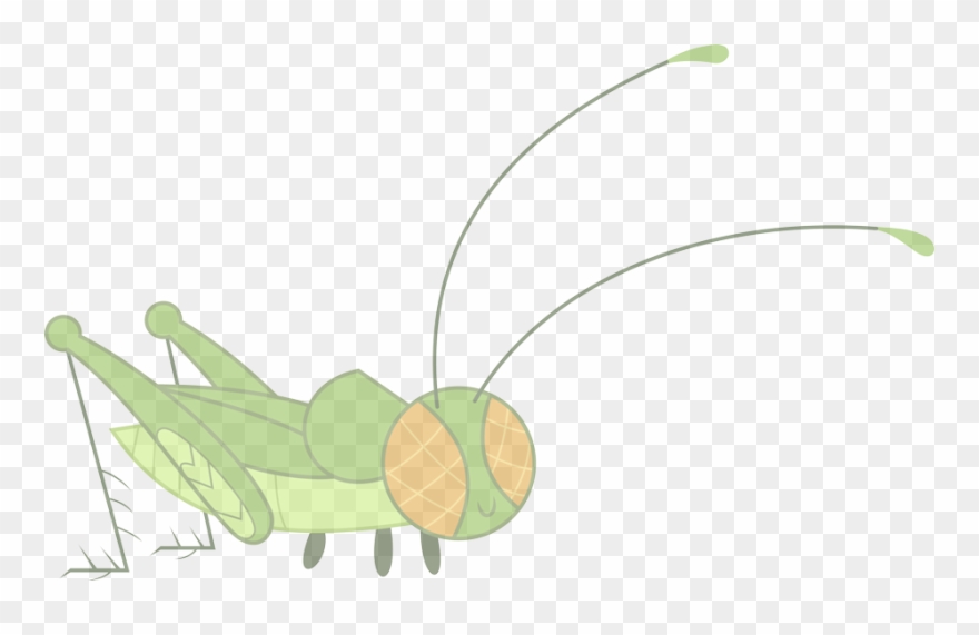 Cricket-opaque40 - Illustration Clipart
