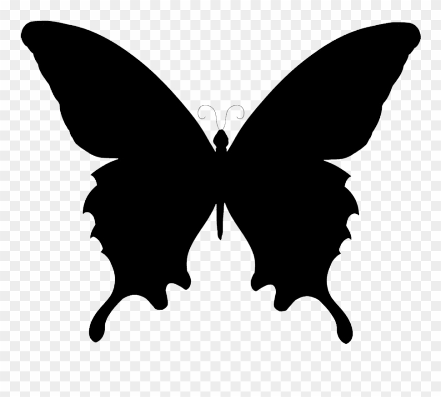 Butterfly Clipart Black And White - Silhouette Butterfly Vector Png Transparent Png