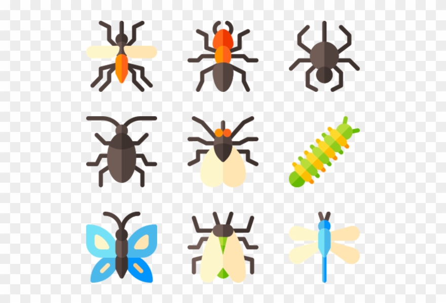 Insects Clipart