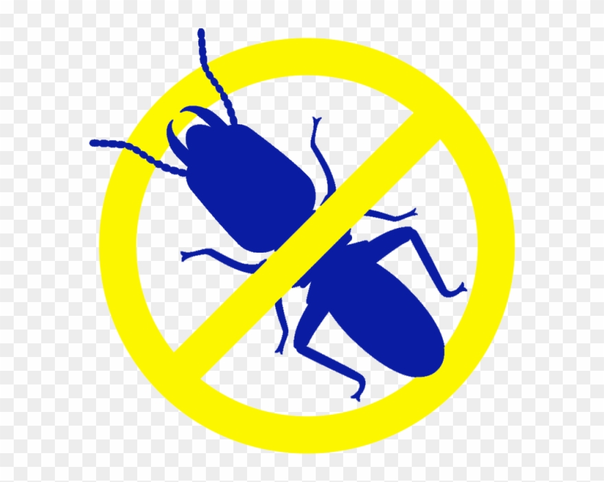 Clip Art - Png Download