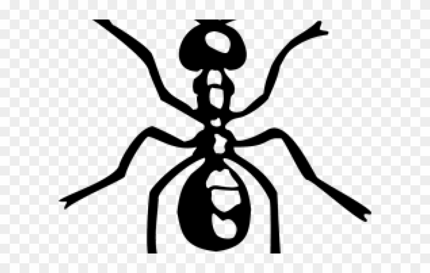 Drawn Ant Simple Clipart